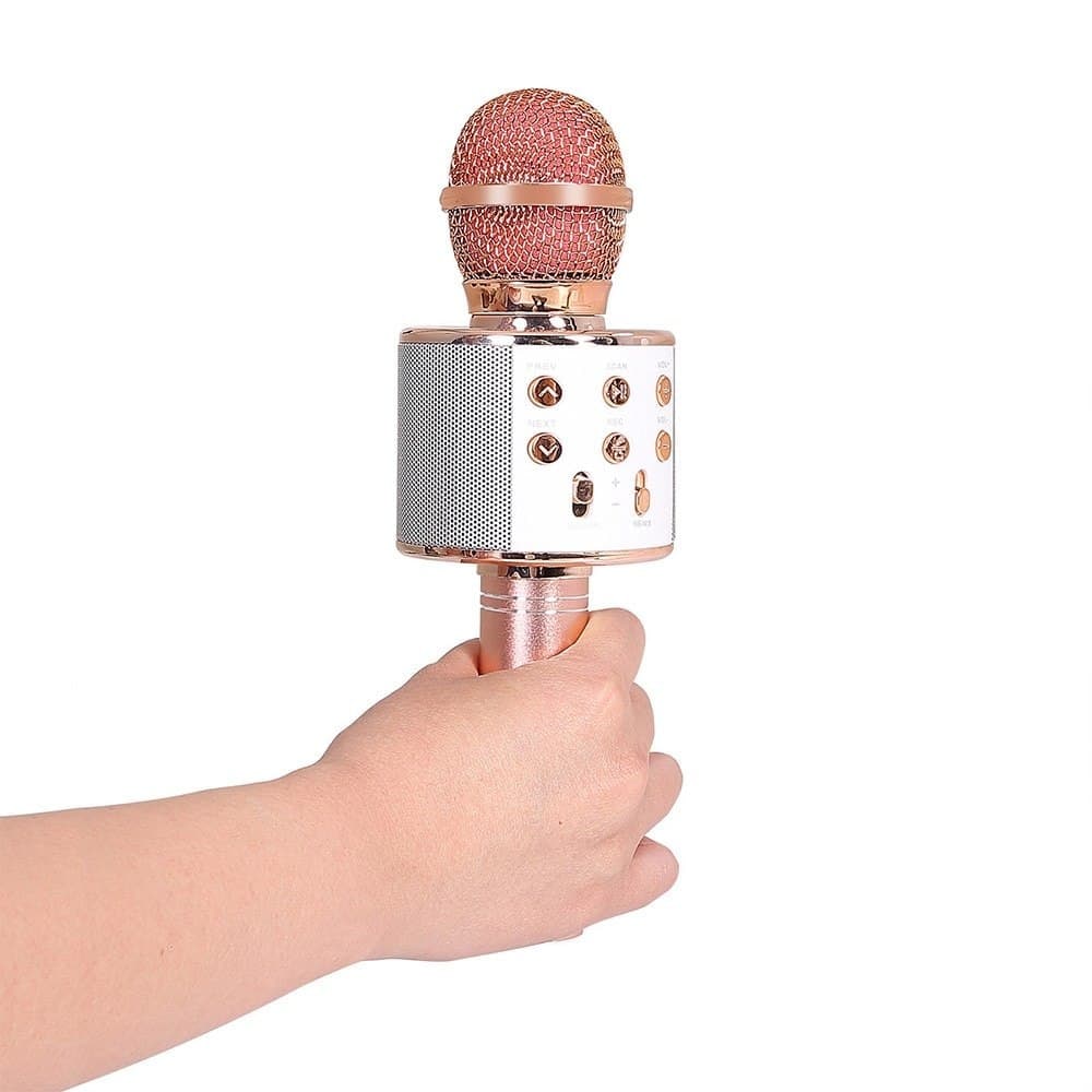 WS-858 Bluetooth Wireless Handheld Karaoke Mini Mic